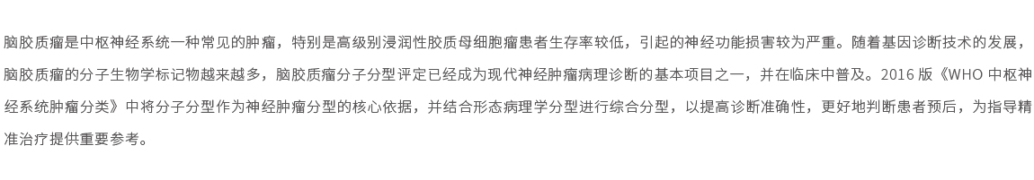 網(wǎng)站產品頁詳細內容2022-13.jpg